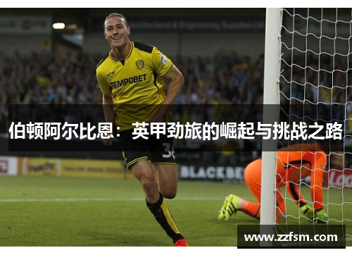 伯顿阿尔比恩：英甲劲旅的崛起与挑战之路