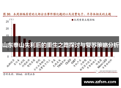 山东泰山失利后的重生之路探讨与复苏策略分析 山东泰山失利后的重生之路探讨与复苏策略分析
