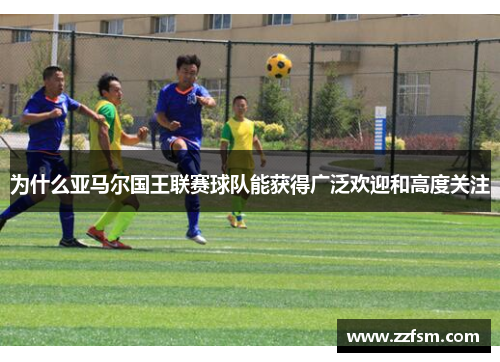 为什么亚马尔国王联赛球队能获得广泛欢迎和高度关注 为什么亚马尔国王联赛球队能获得广泛欢迎和高度关注