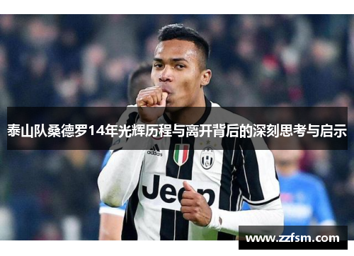 泰山队桑德罗14年光辉历程与离开背后的深刻思考与启示