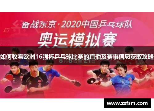 如何收看欧洲16强杯乒乓球比赛的直播及赛事信息获取攻略
